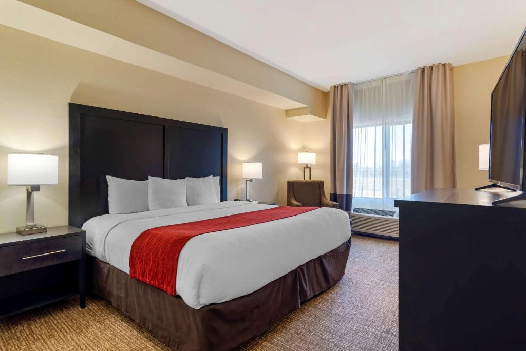 Comfort Inn & Suites Montgomery Eastchase image 6